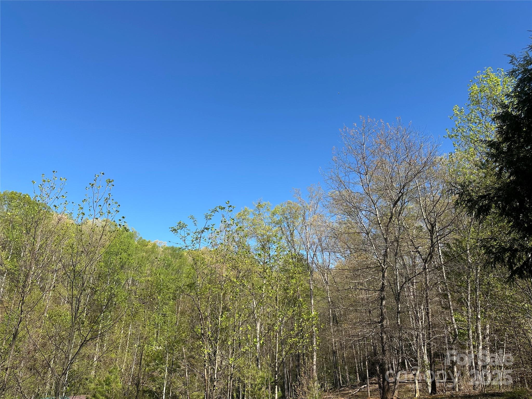 V/l Country Acres Drive Old Fort NC 28762