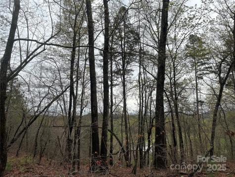 V/l Country Acres Drive Old Fort NC 28762