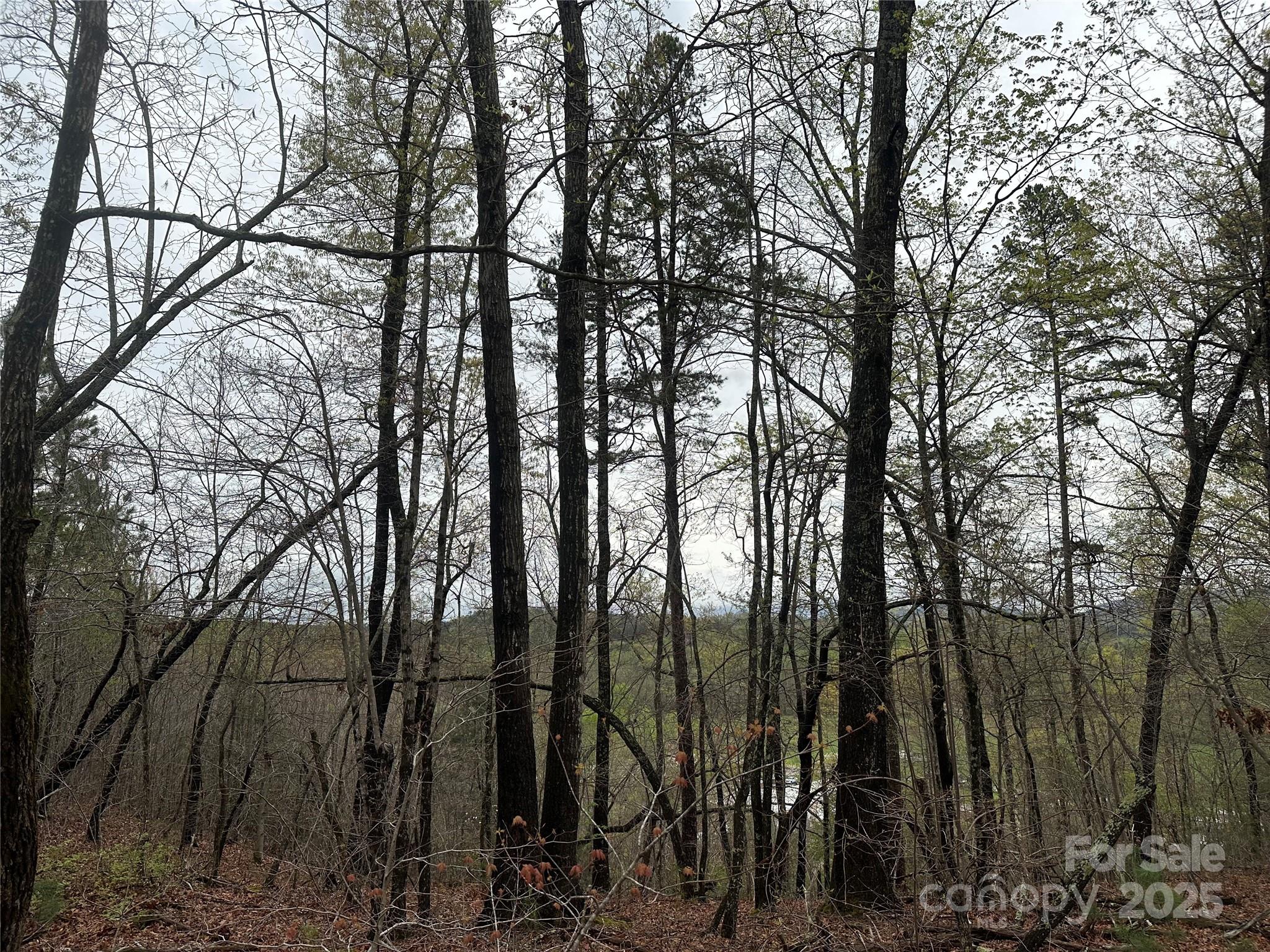 V/l Country Acres Drive Old Fort NC 28762