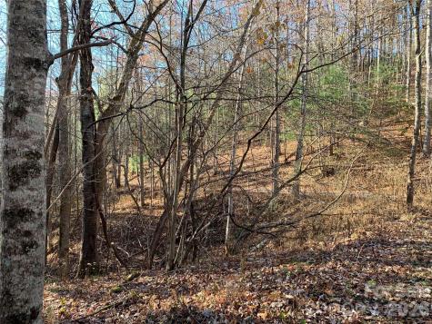Tbd (Lot 1) Dugger Firetower Road Lenoir NC 28645