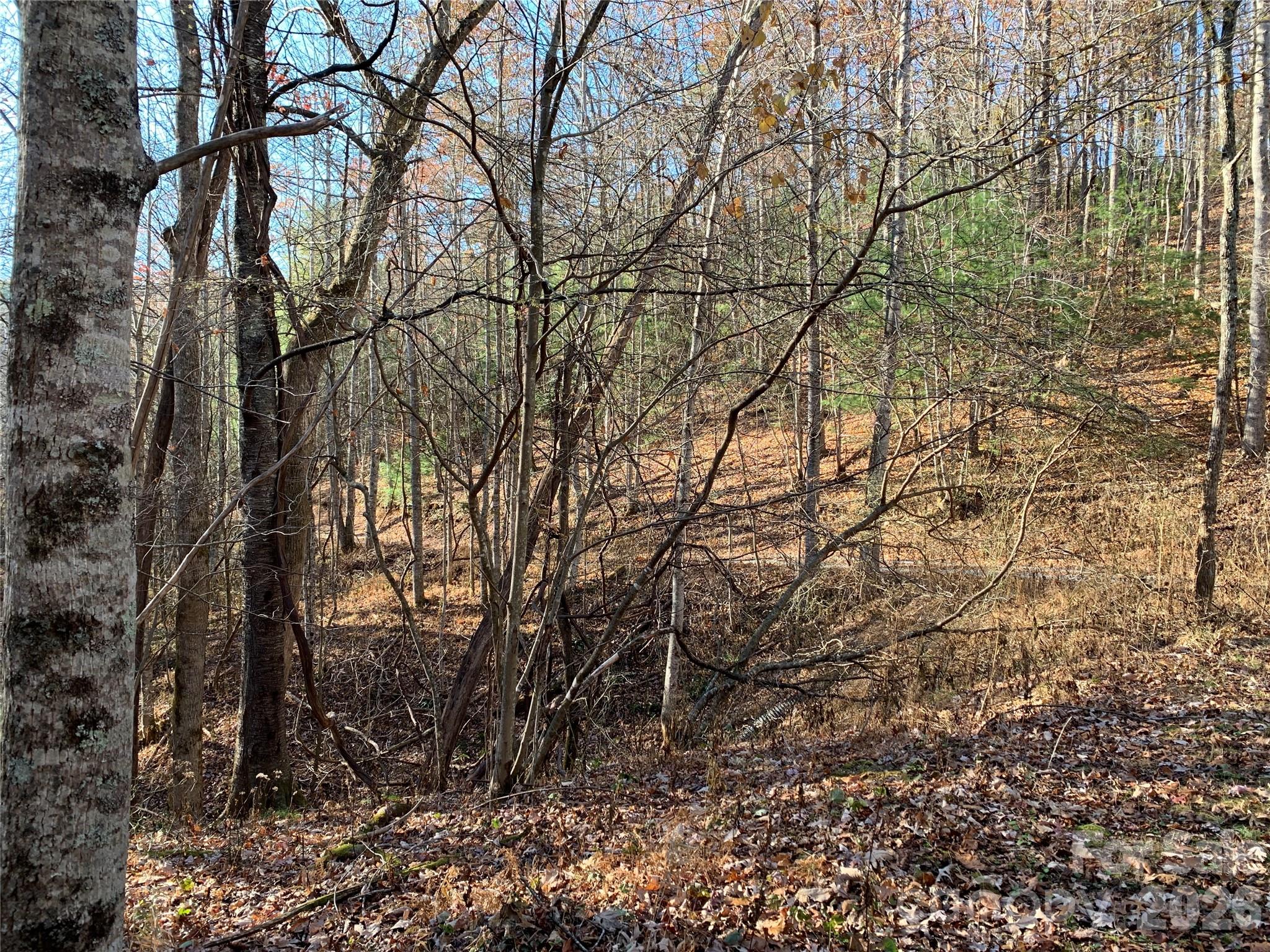 Tbd (Lot 1) Dugger Firetower Road Lenoir NC 28645