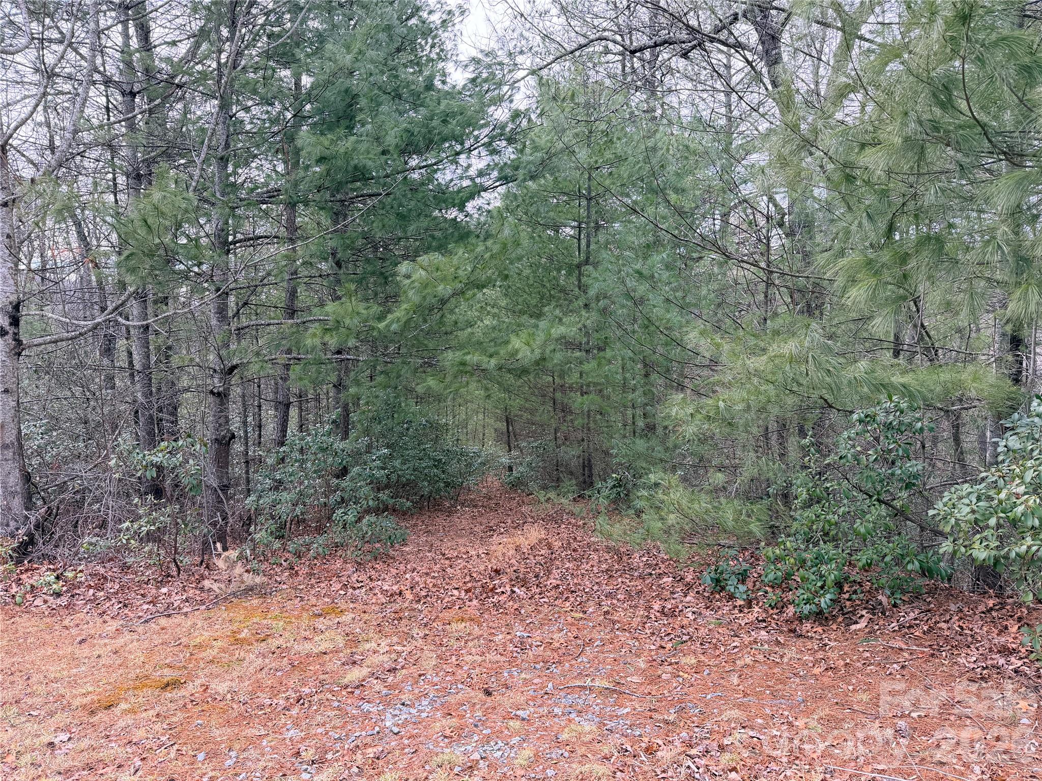 Tbd (Lot 1) Dugger Firetower Road Lenoir NC 28645