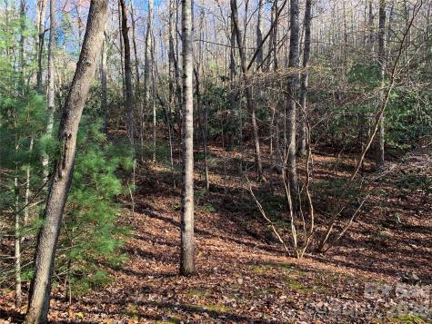 Tbd (Lot 1) Dugger Firetower Road Lenoir NC 28645