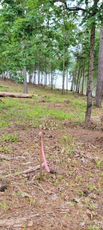 2948 Jumping Run Connelly Springs NC 28612