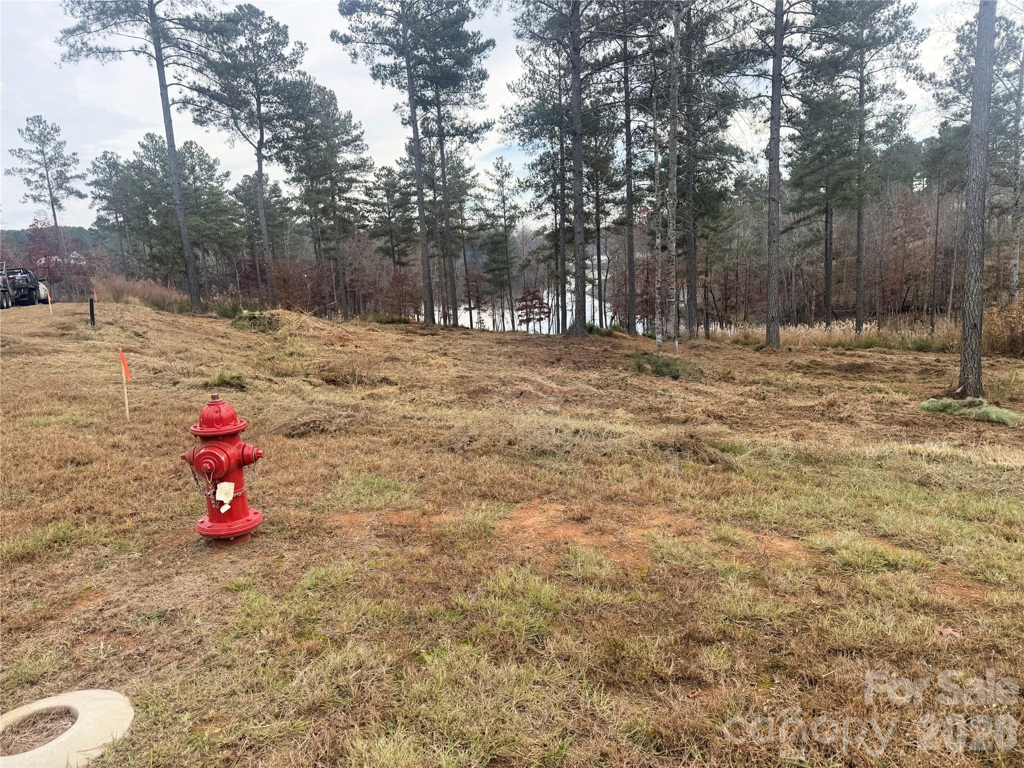 2948 Jumping Run Connelly Springs NC 28612
