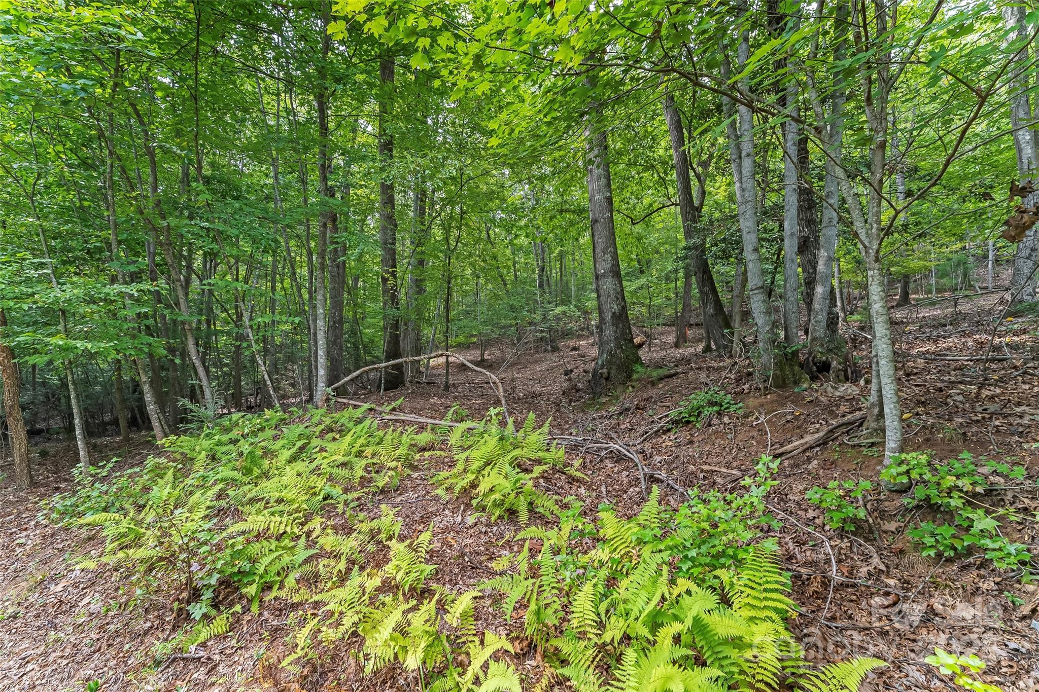 377 Harborside Drive Nebo NC 28761