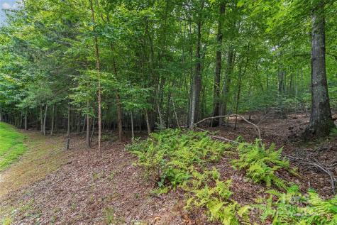 377 Harborside Drive Nebo NC 28761
