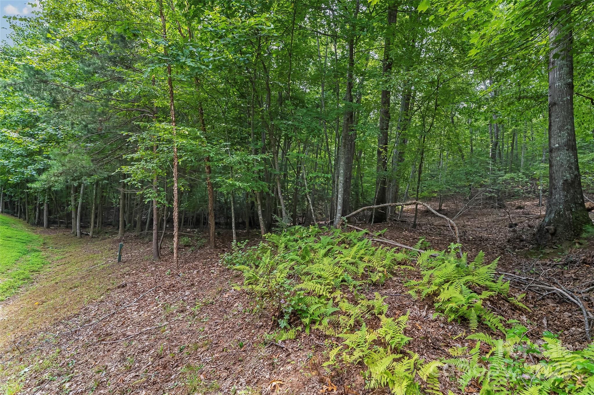 377 Harborside Drive Nebo NC 28761