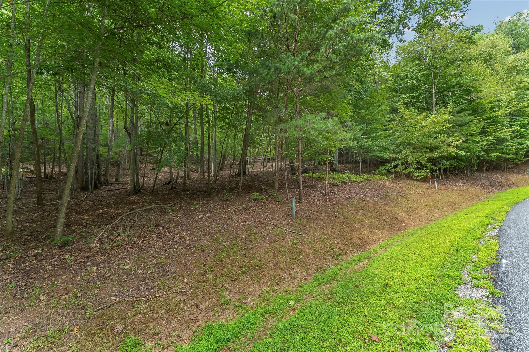 377 Harborside Drive Nebo NC 28761