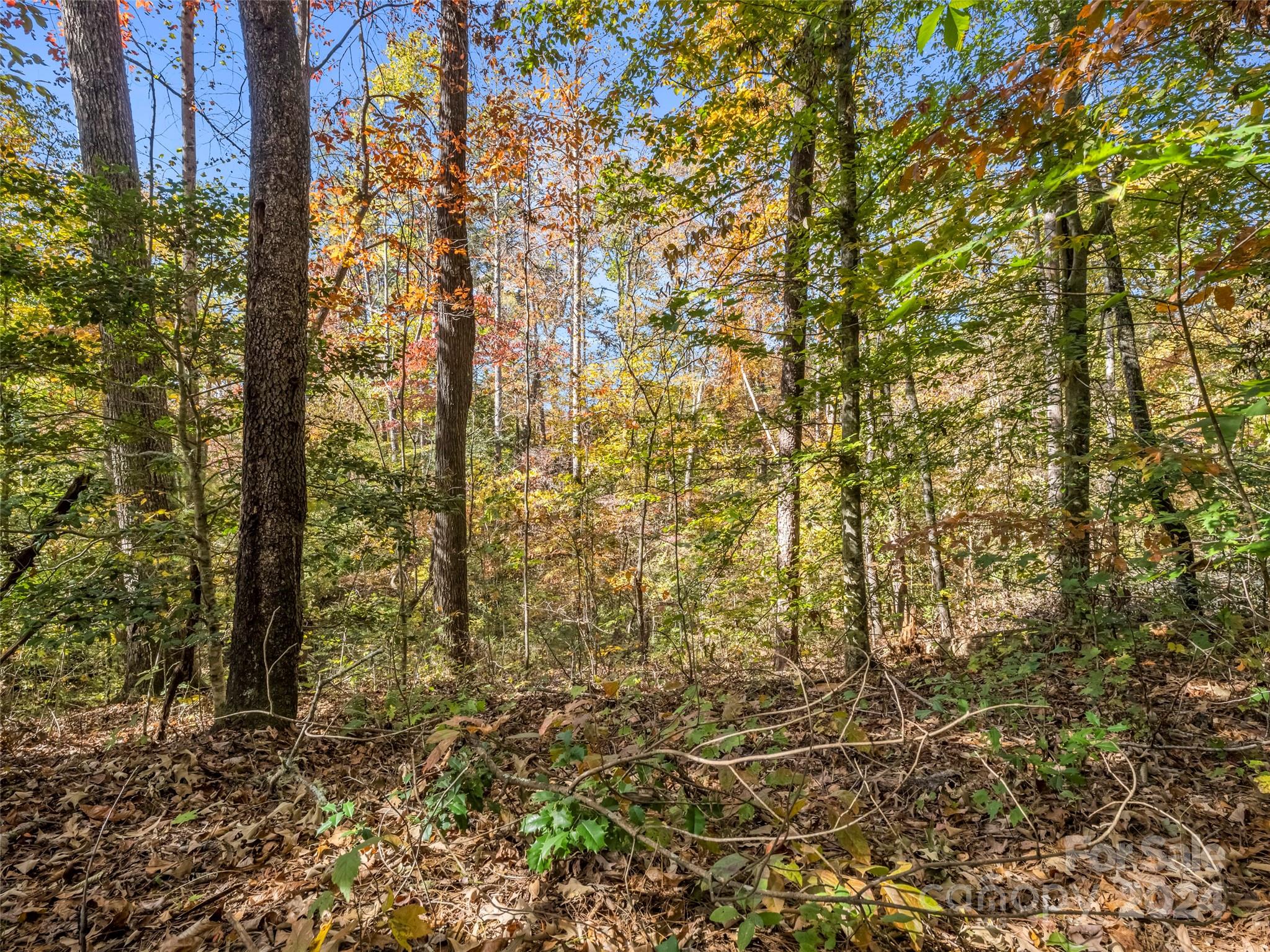 0 Thermal City Road Union Mills NC 28167