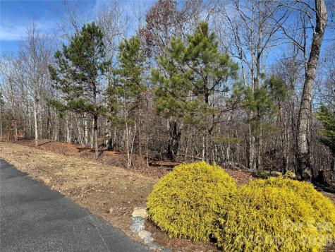 108 Woodgate Drive Nebo NC 28761