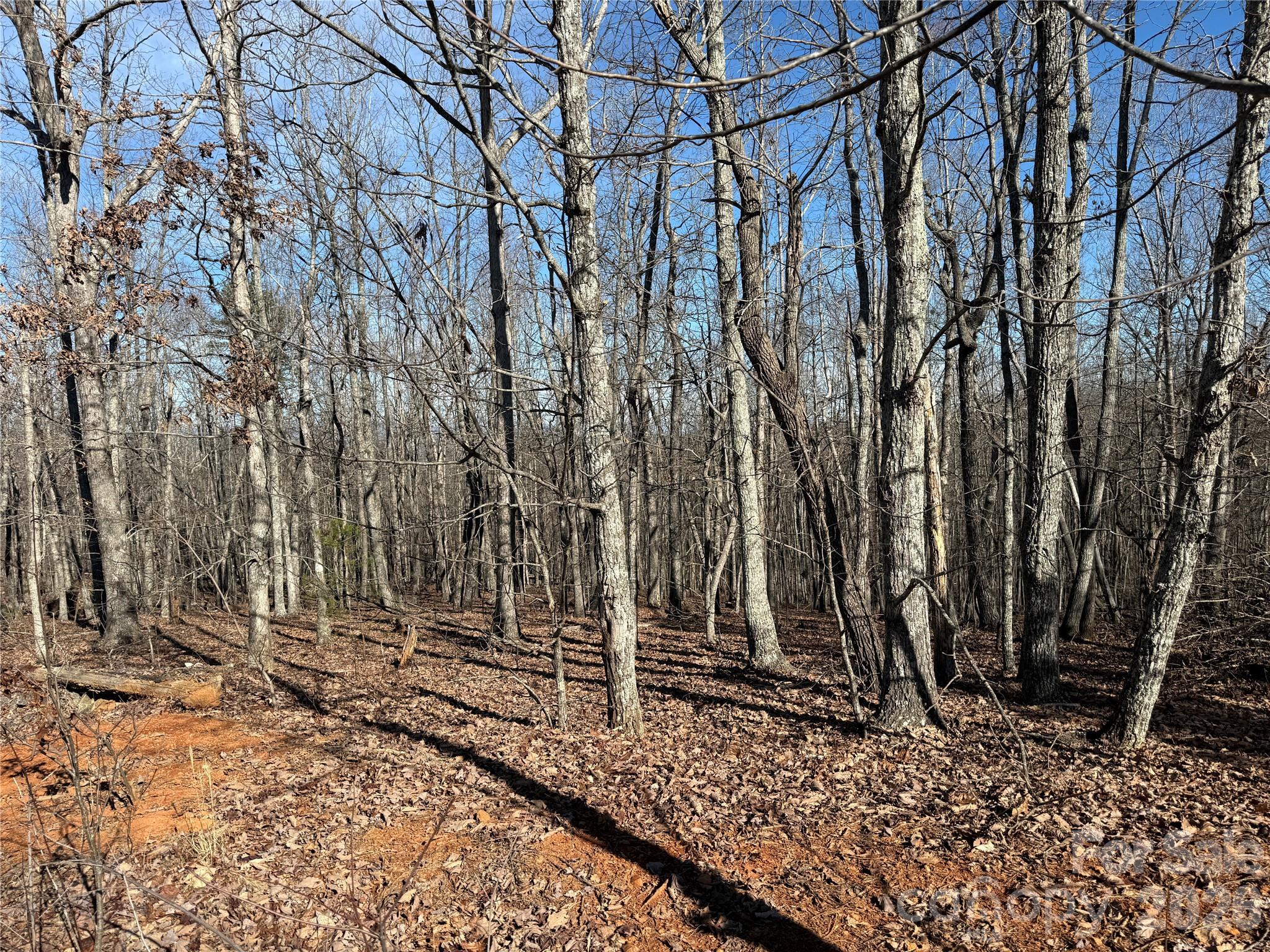 108 Woodgate Drive Nebo NC 28761