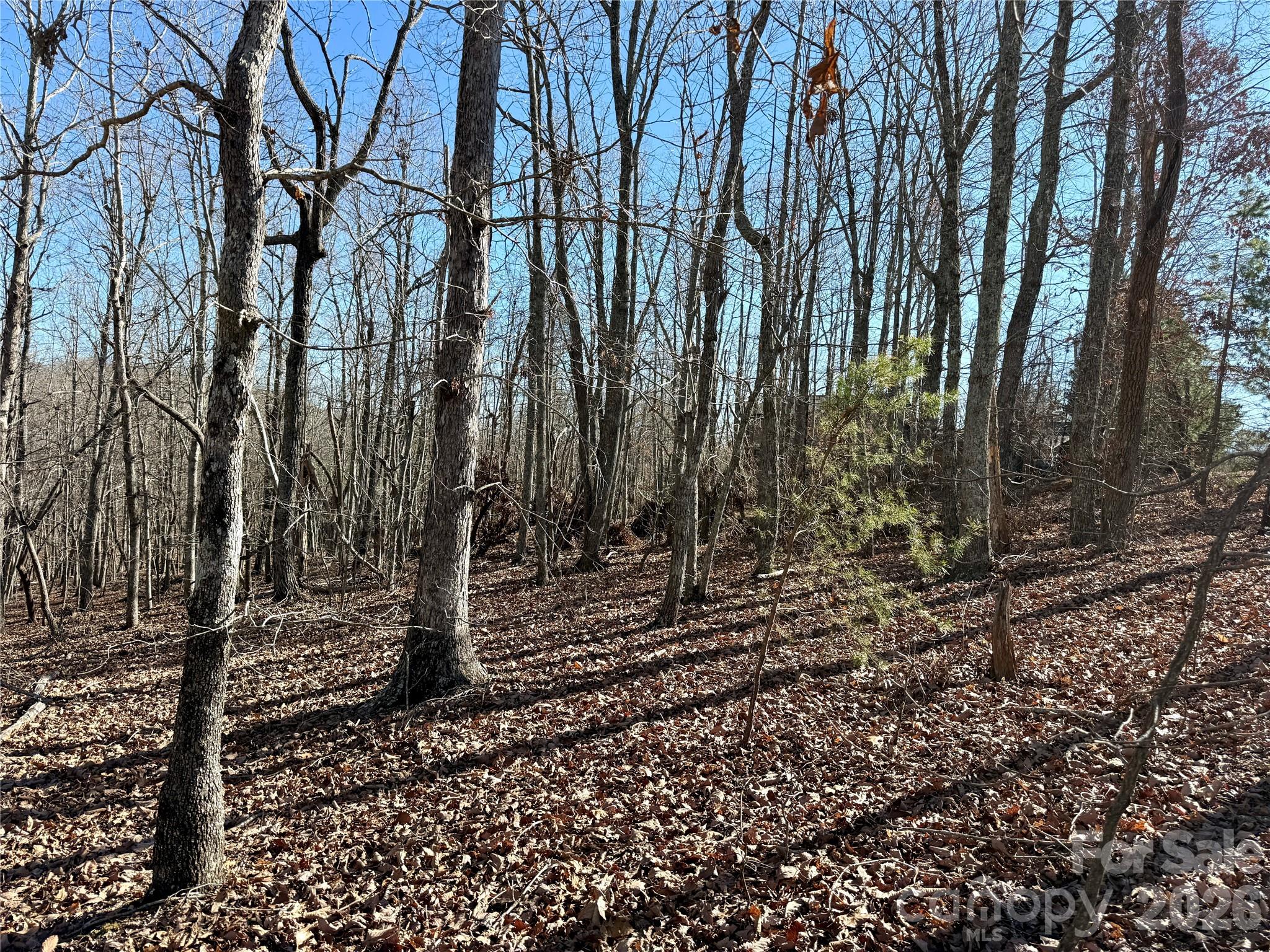 108 Woodgate Drive Nebo NC 28761
