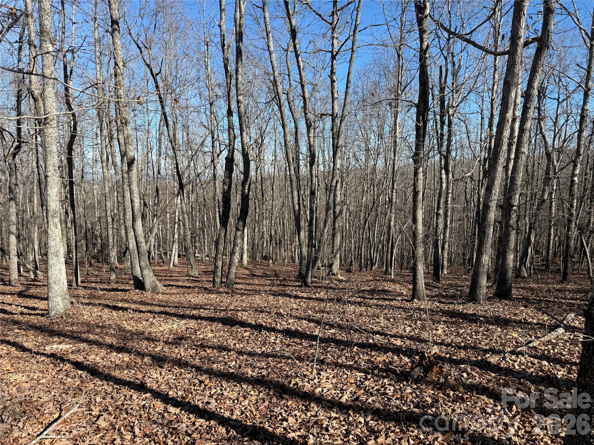 108 Woodgate Drive Nebo NC 28761