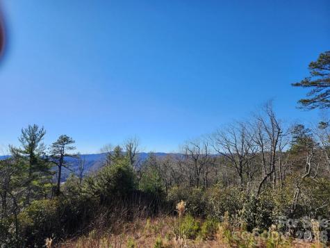 9999 Bulling Creek Road Penrose NC 28766