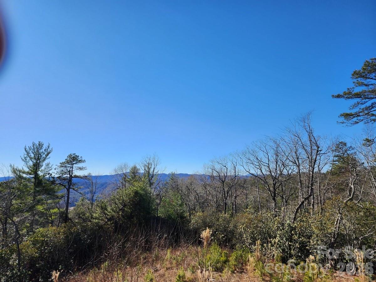 9999 Bulling Creek Road Penrose NC 28766