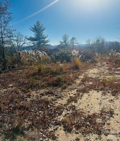 9999 Bulling Creek Road Penrose NC 28766