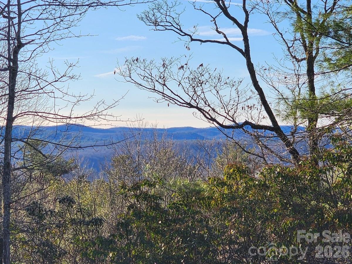 9999 Bulling Creek Road Penrose NC 28766
