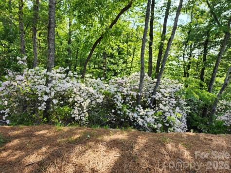 9999 Bulling Creek Road Penrose NC 28766