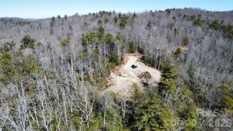 9999 Bulling Creek Road Penrose NC 28766