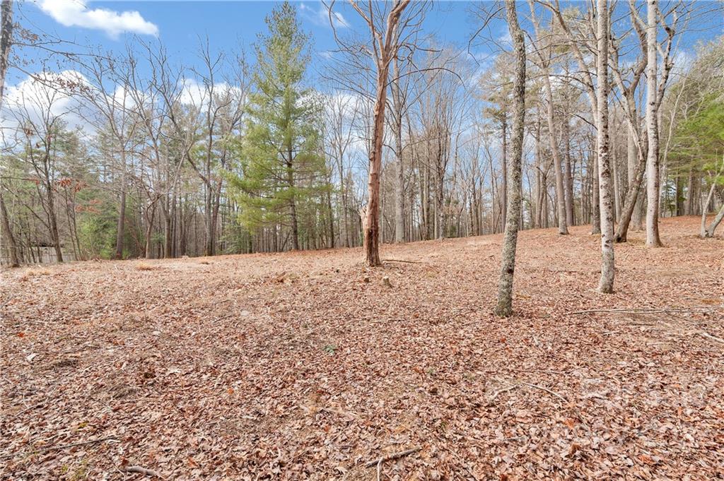 Lot 1 Cedar Hill Drive Asheville NC 28803