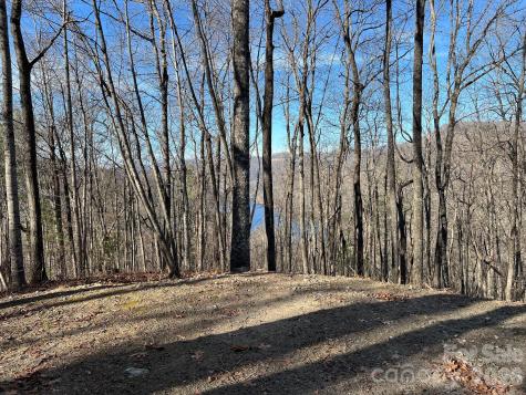 762 Scarlet Oak Road Tuckasegee NC 28783