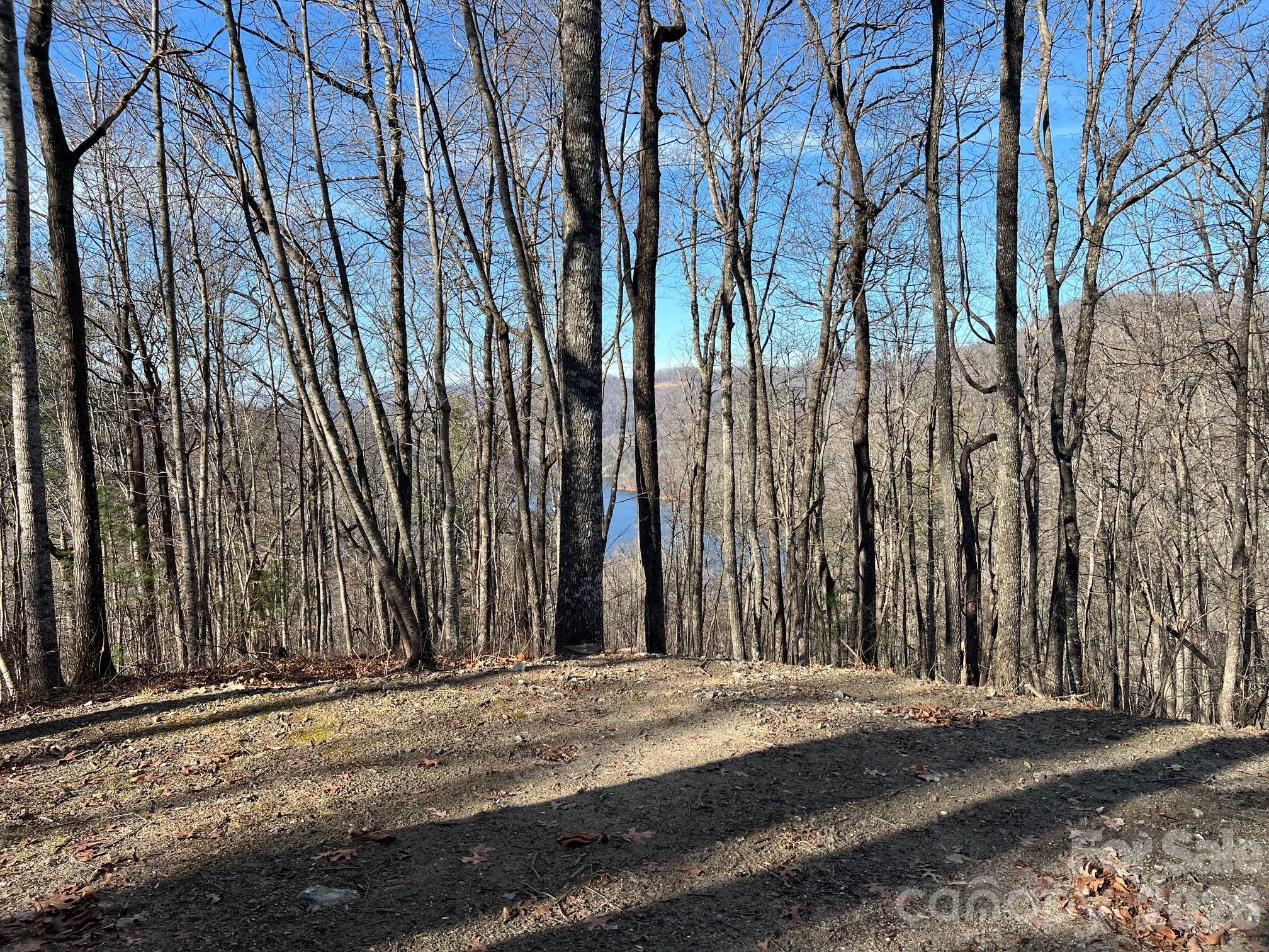 762 Scarlet Oak Road Tuckasegee NC 28783