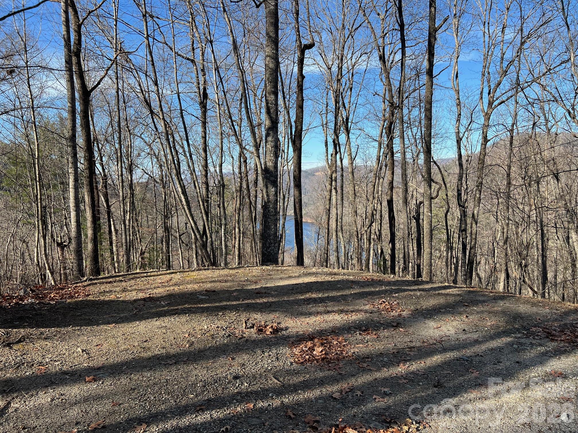 762 Scarlet Oak Road Tuckasegee NC 28783