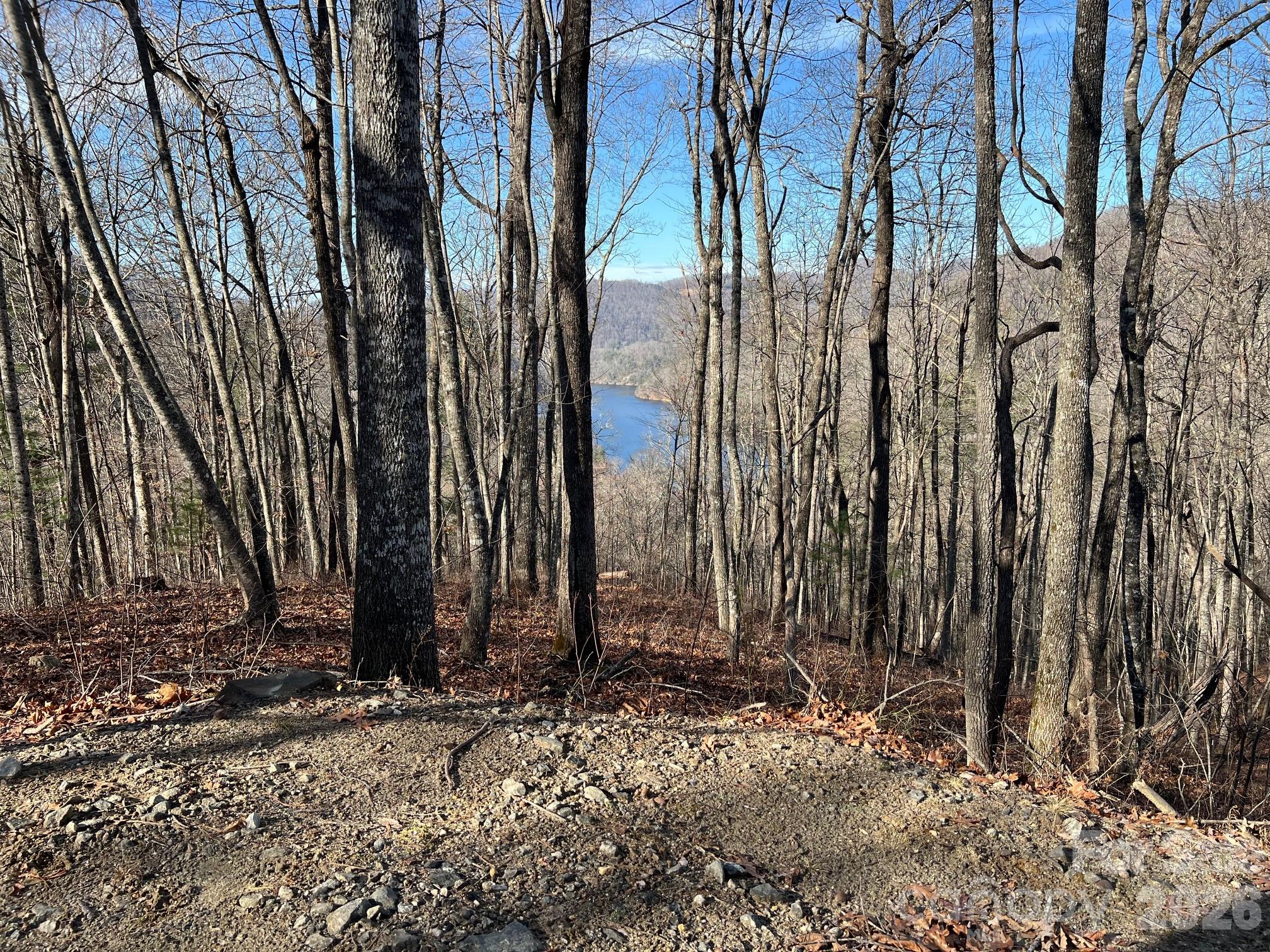 762 Scarlet Oak Road Tuckasegee NC 28783