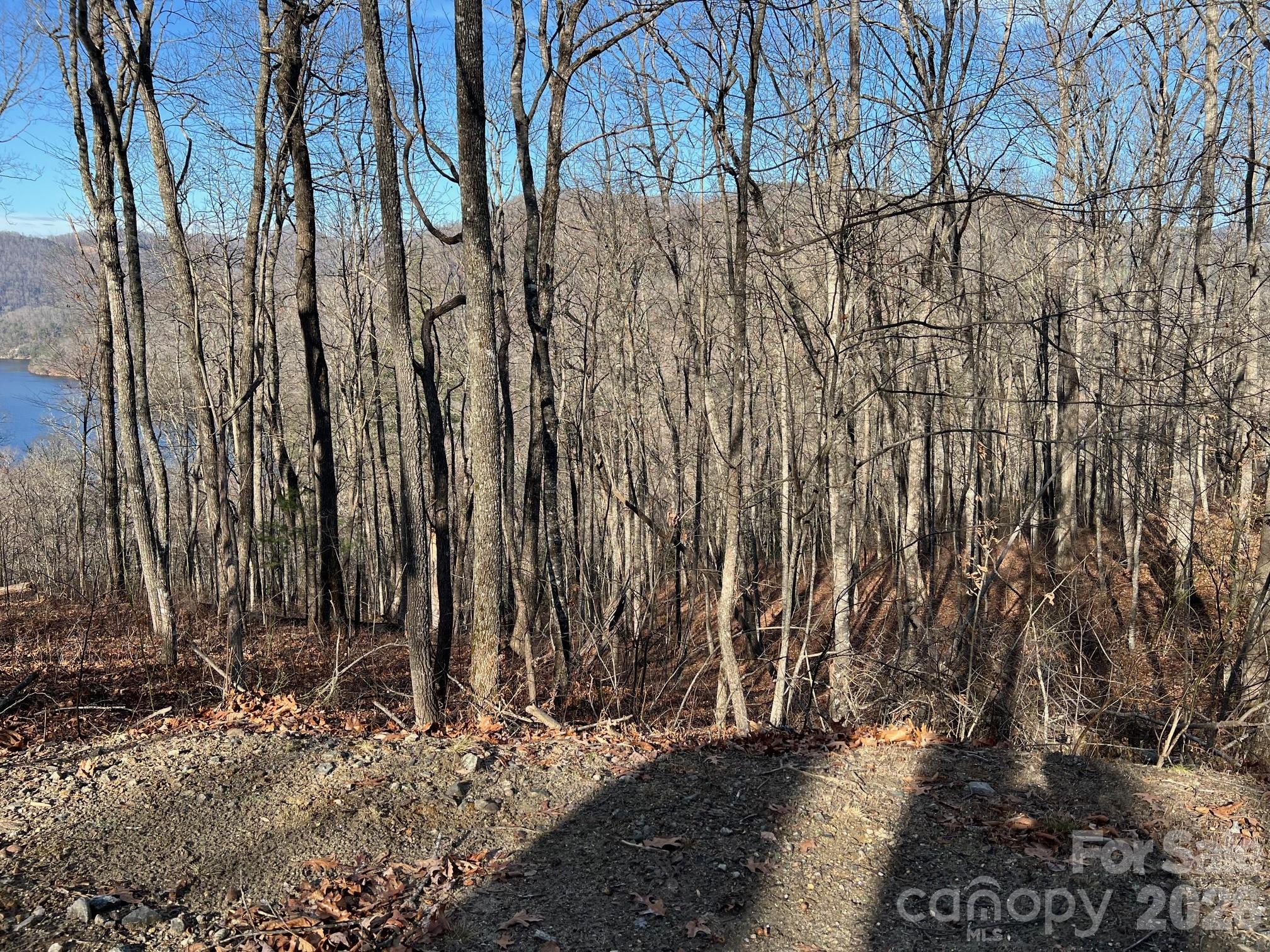 762 Scarlet Oak Road Tuckasegee NC 28783