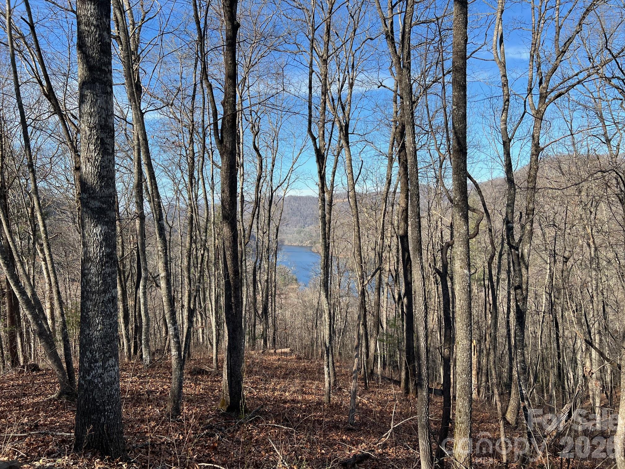 762 Scarlet Oak Road Tuckasegee NC 28783