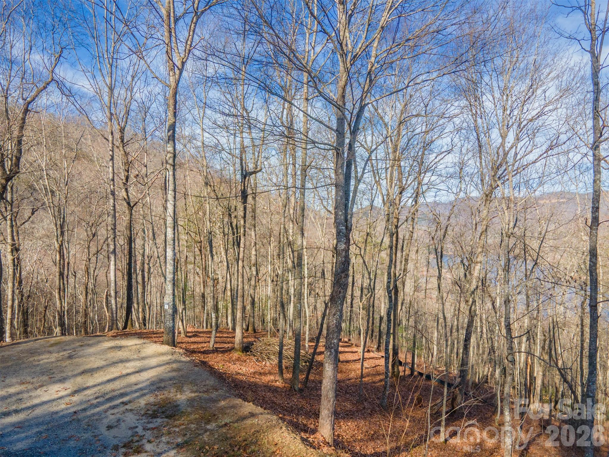 762 Scarlet Oak Road Tuckasegee NC 28783