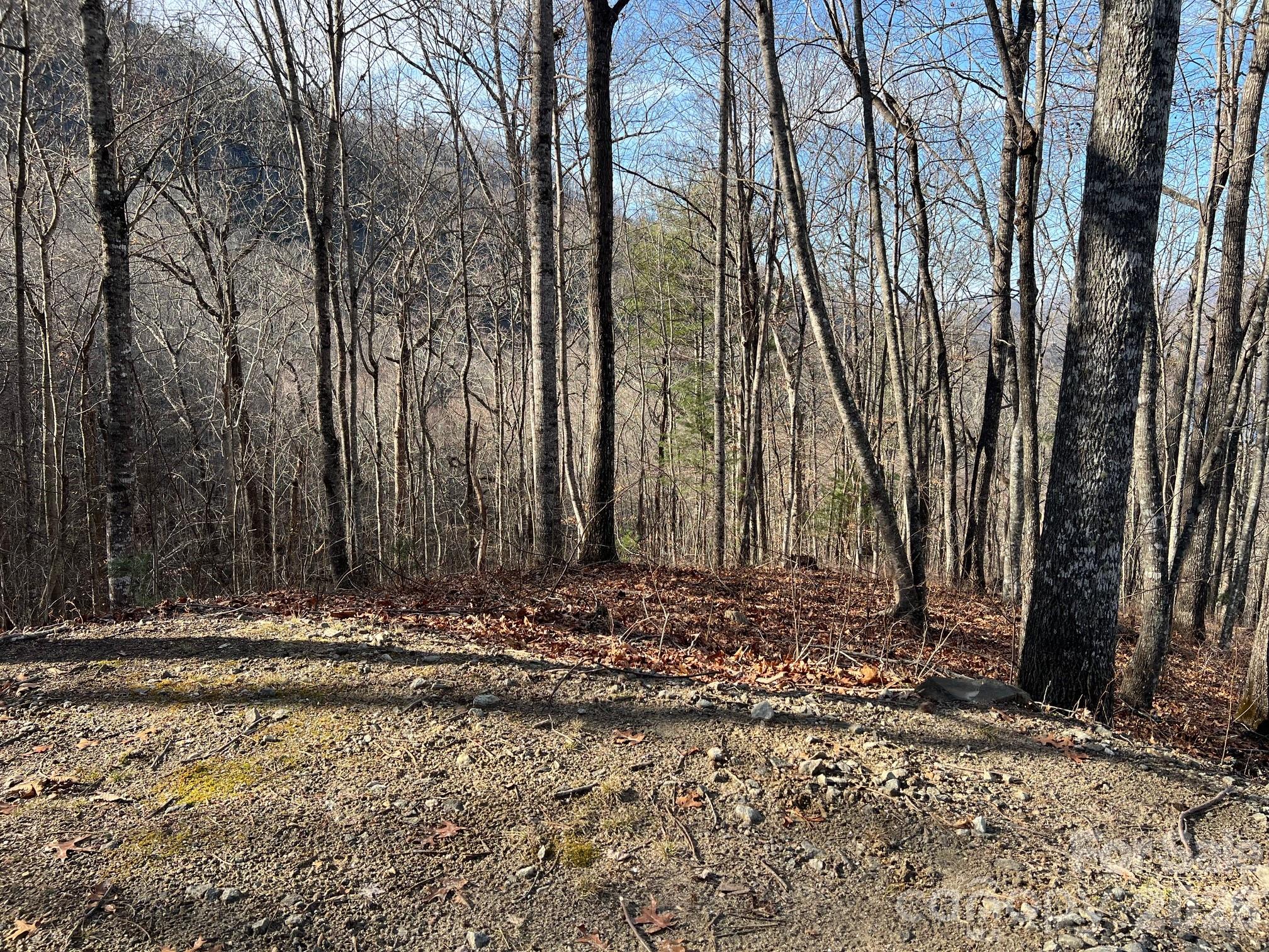762 Scarlet Oak Road Tuckasegee NC 28783
