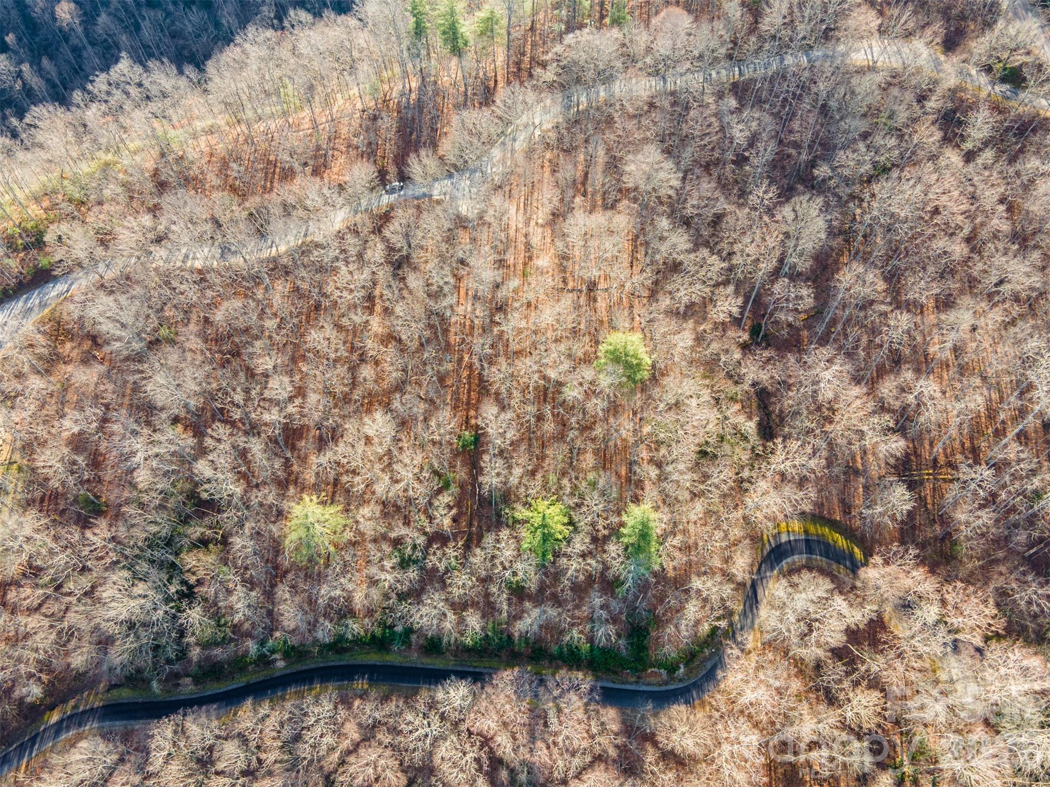 762 Scarlet Oak Road Tuckasegee NC 28783