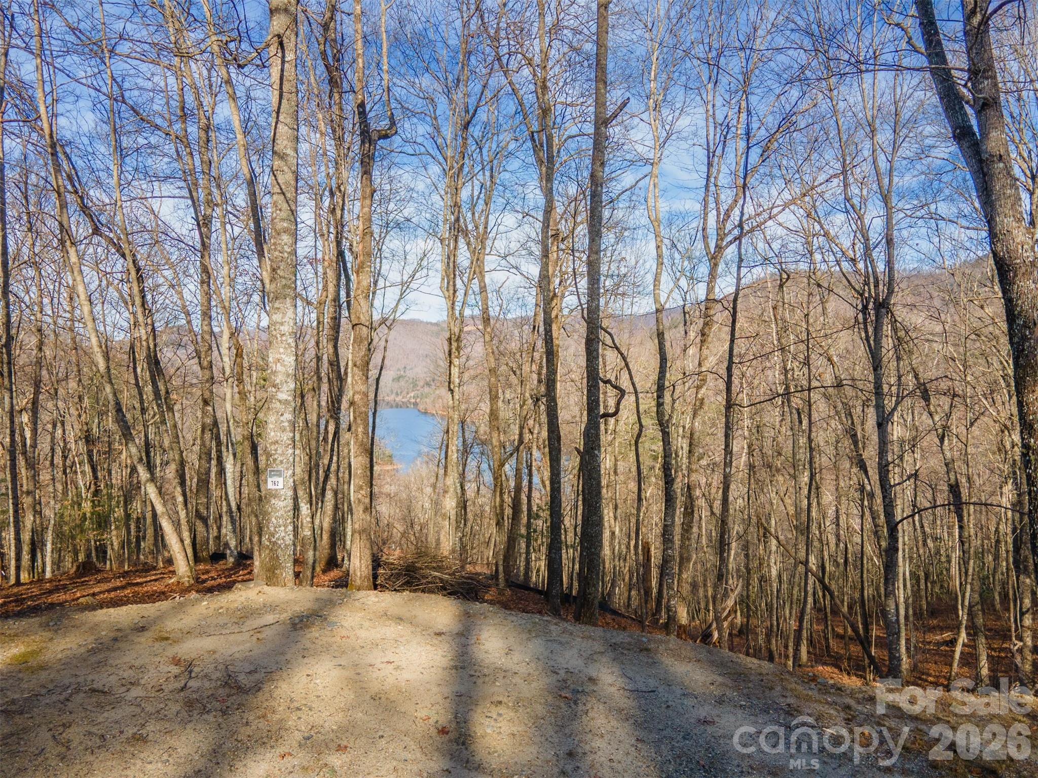 762 Scarlet Oak Road Tuckasegee NC 28783
