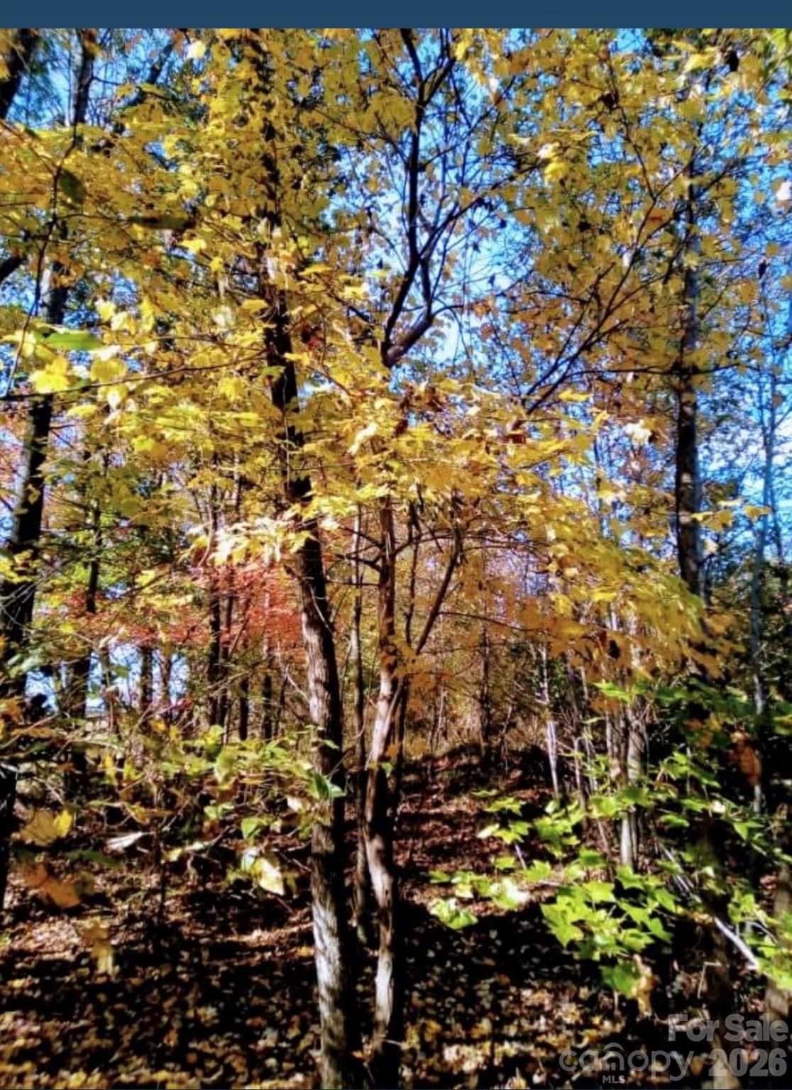 0000 Potter Road Waxhaw NC 28173