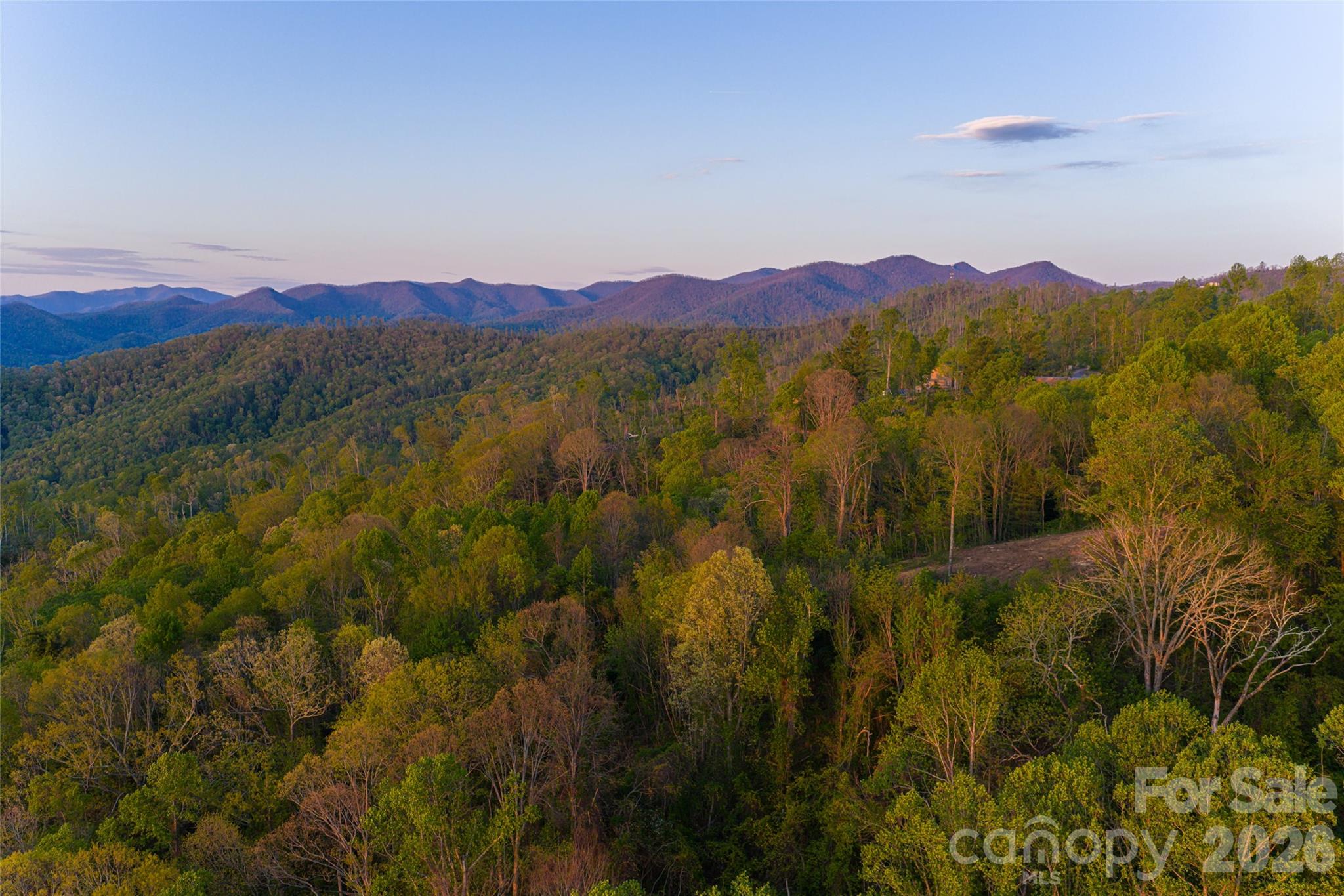 99999 Elk Mountain Scenic Highway Asheville NC 28804