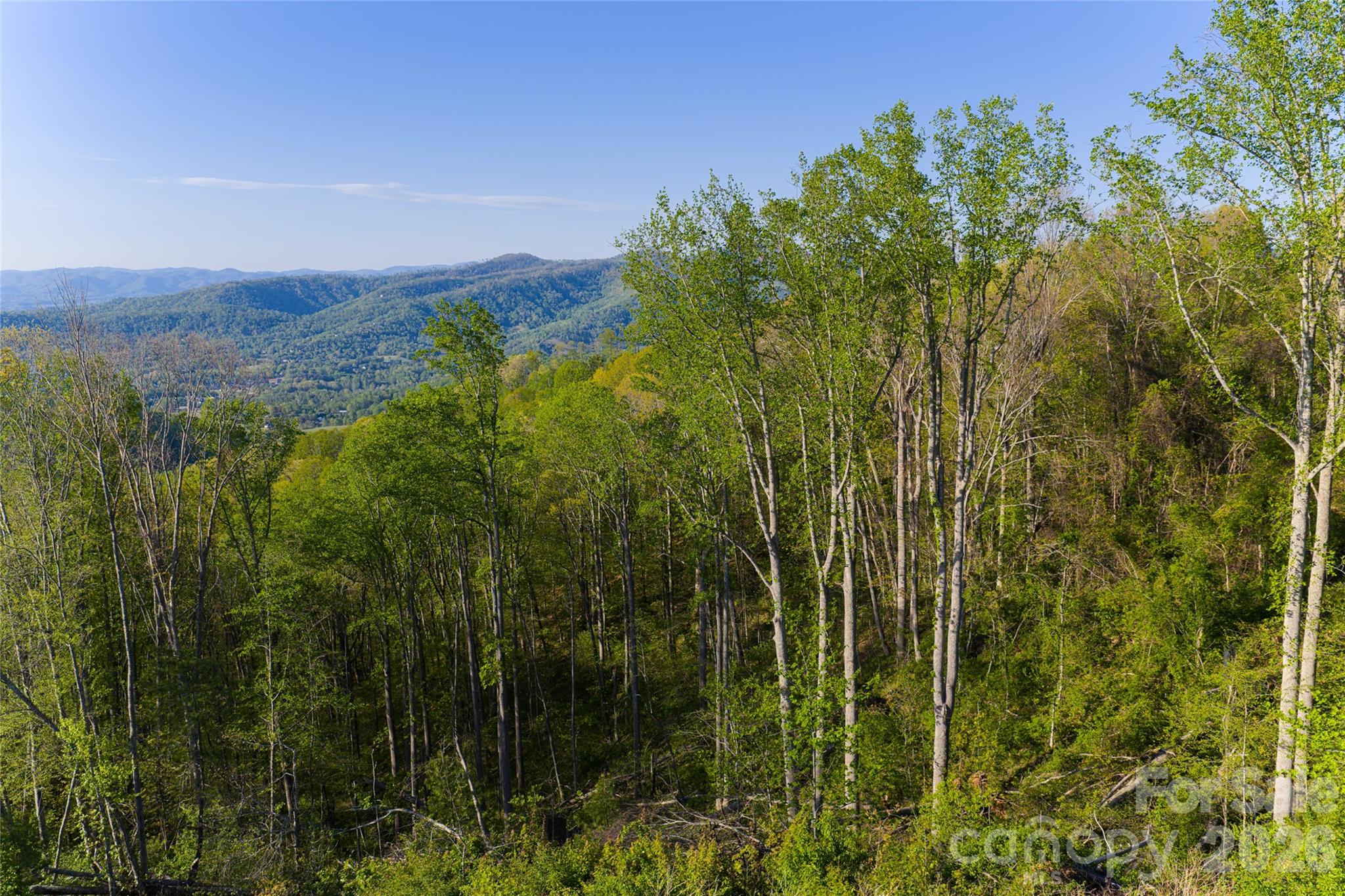 99999 Elk Mountain Scenic Highway Asheville NC 28804