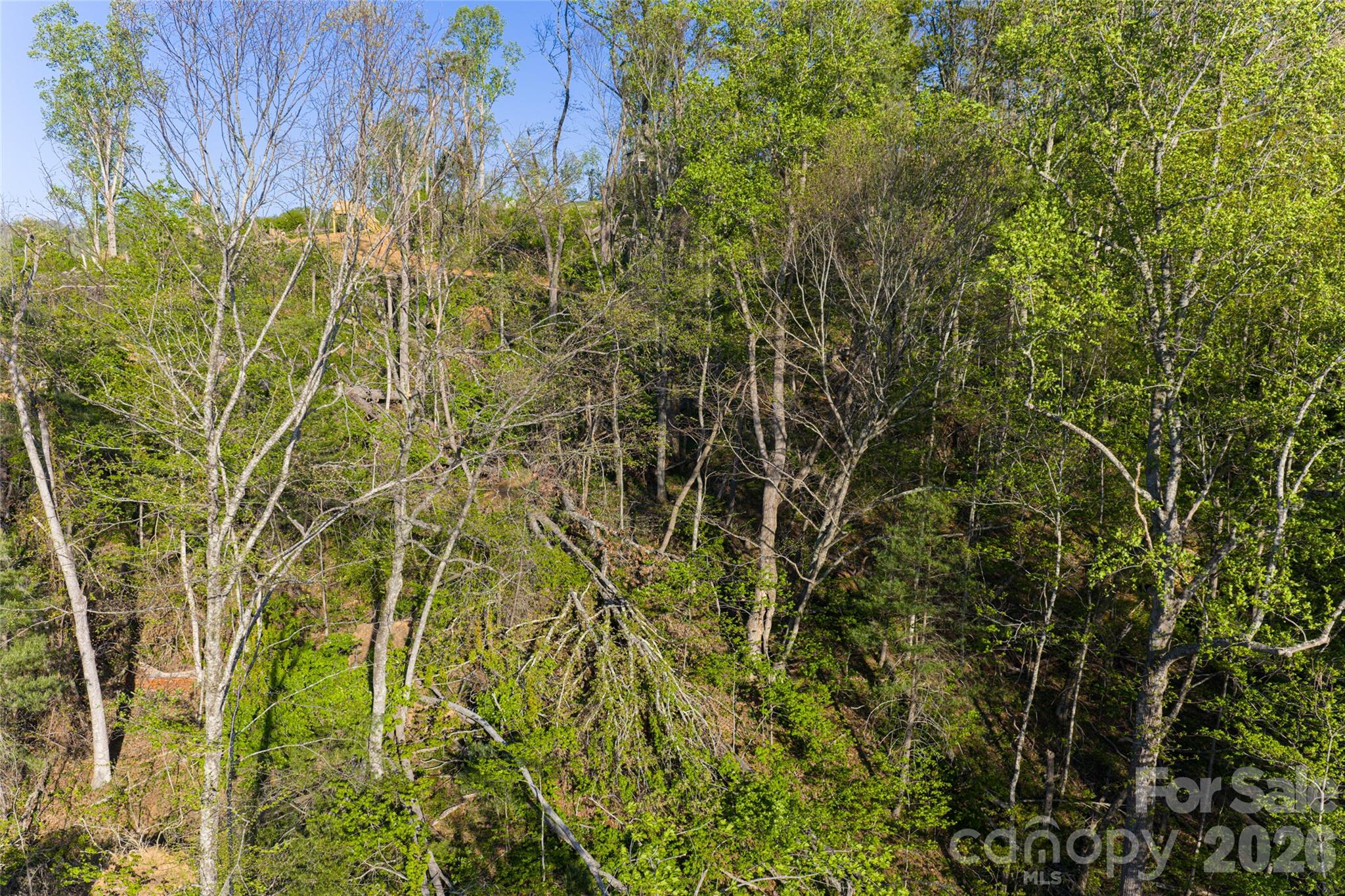 99999 Elk Mountain Scenic Highway Asheville NC 28804