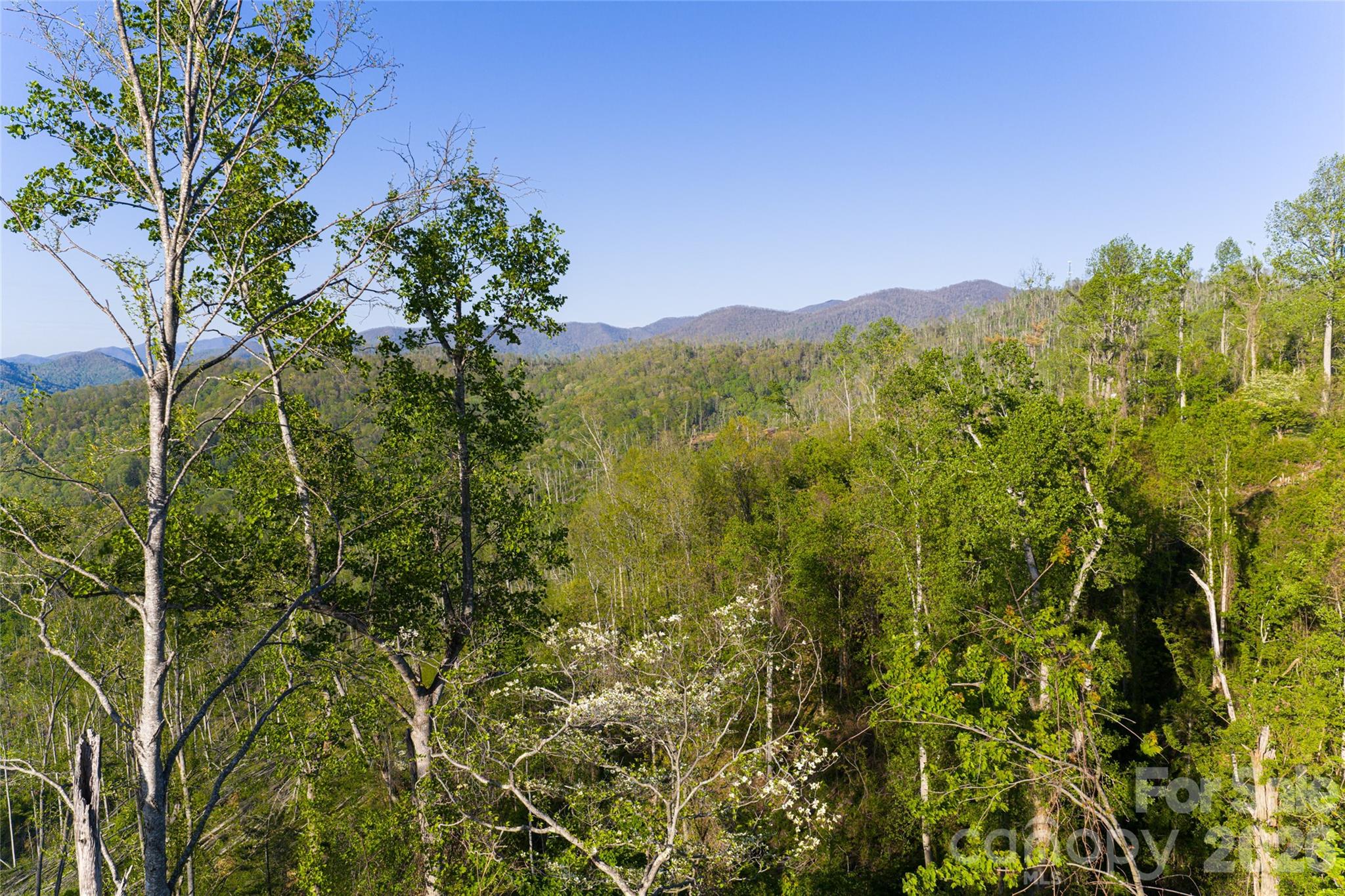 99999 Elk Mountain Scenic Highway Asheville NC 28804