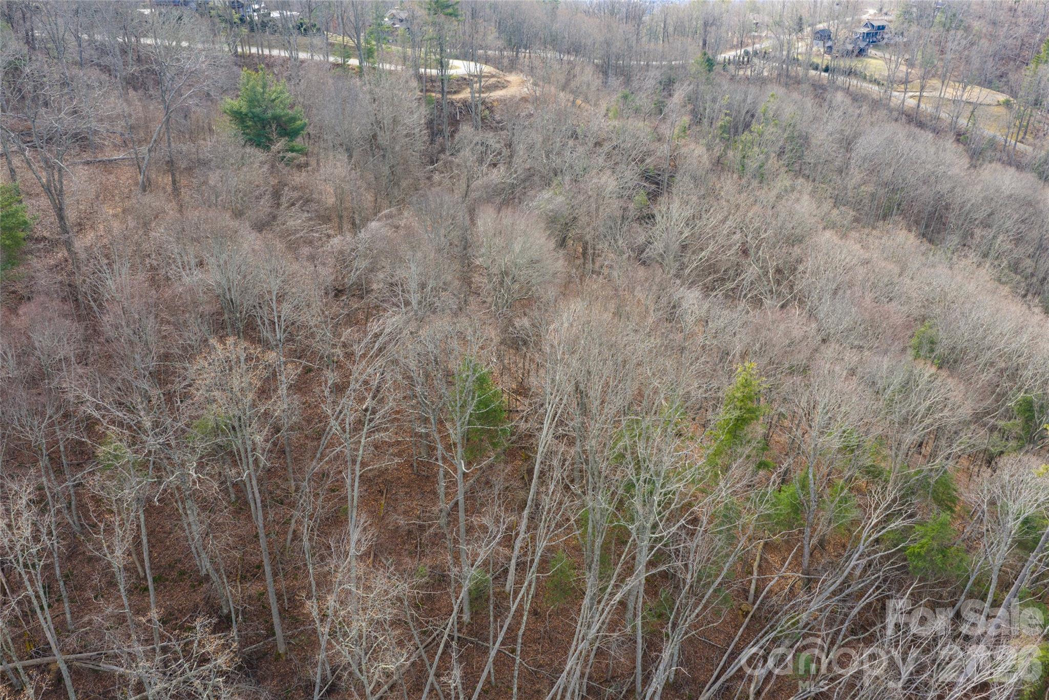 99999 Elk Mountain Scenic Highway Asheville NC 28804