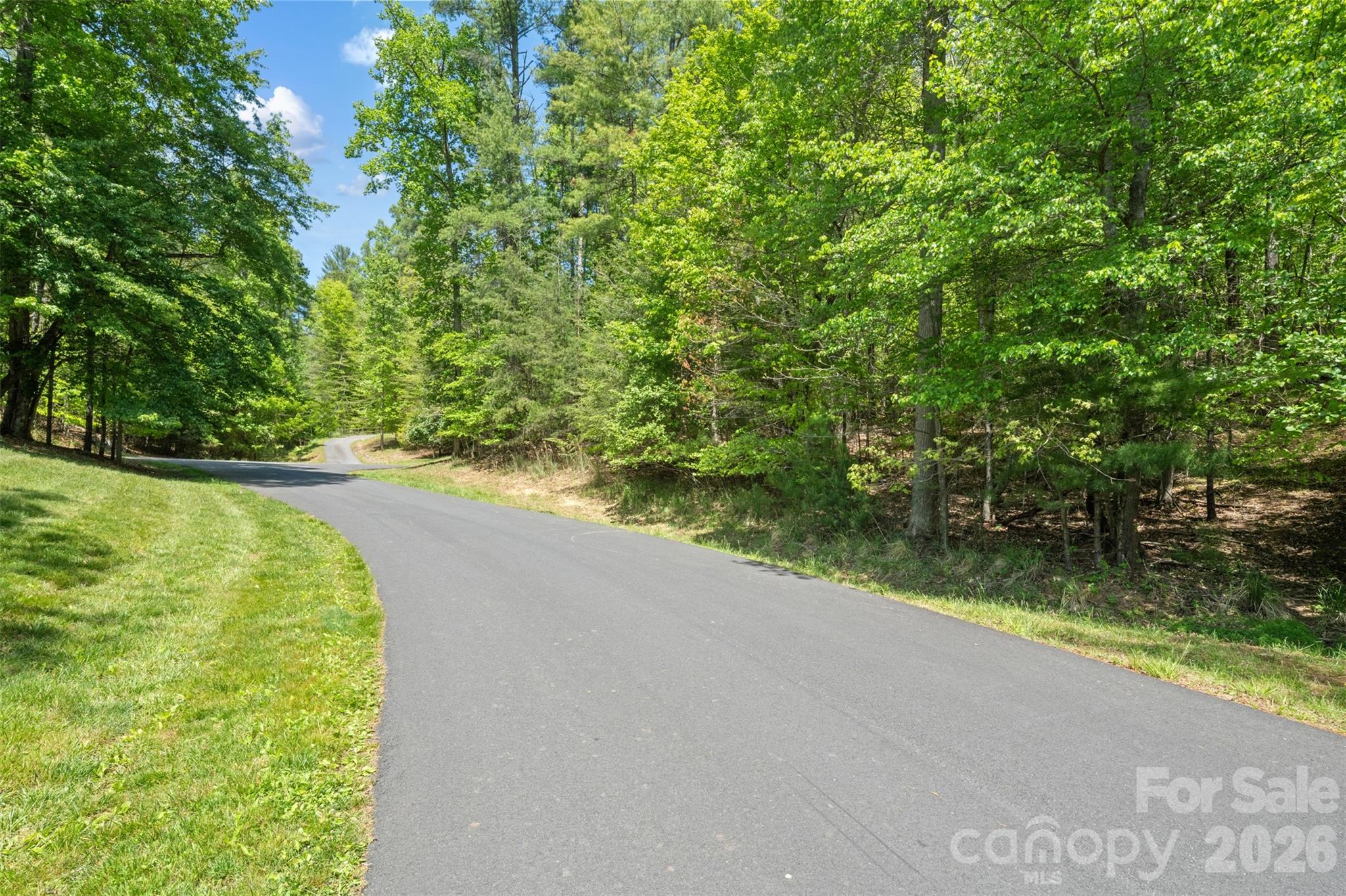 Tbd Peddlers Trail Mars Hill NC 28754
