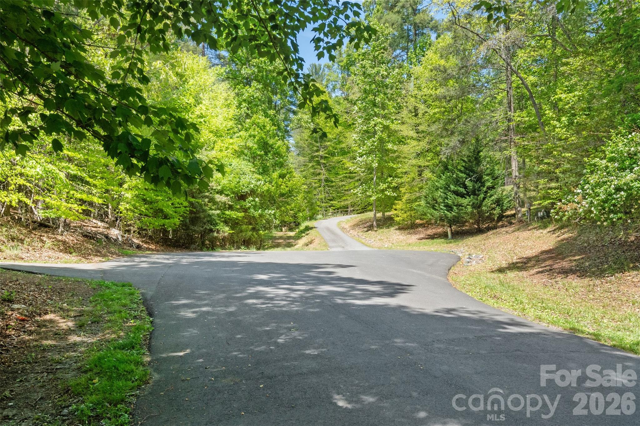 Tbd Peddlers Trail Mars Hill NC 28754