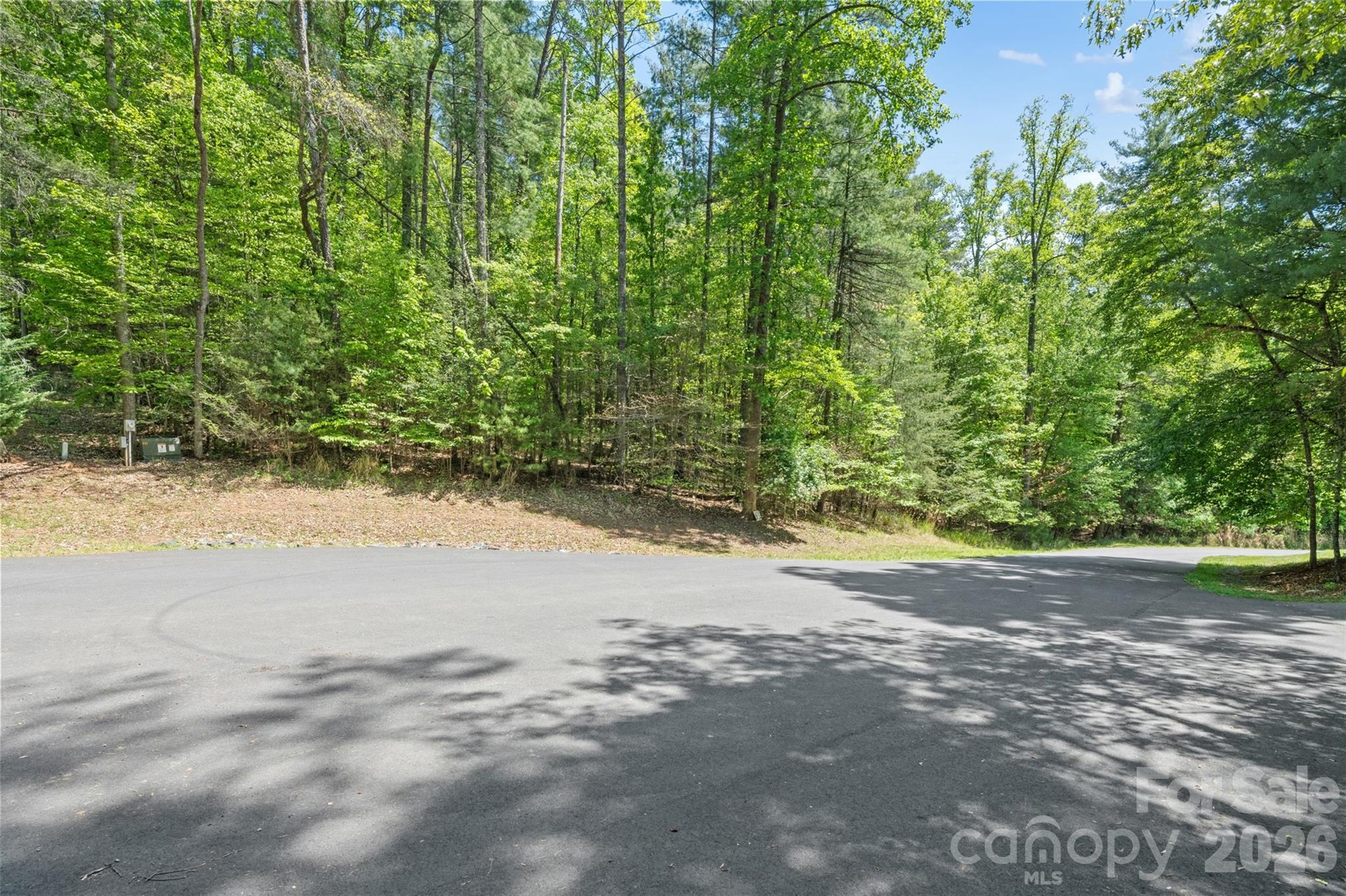 Tbd Peddlers Trail Mars Hill NC 28754