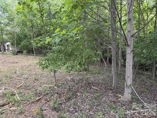 7557 Cowtail Lane Connelly Springs NC 28612