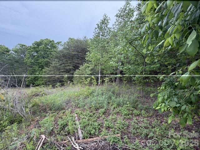 7557 Cowtail Lane Connelly Springs NC 28612