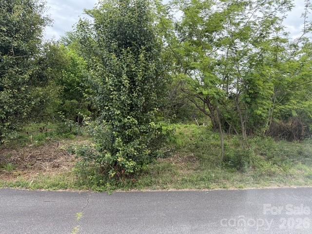 7557 Cowtail Lane Connelly Springs NC 28612