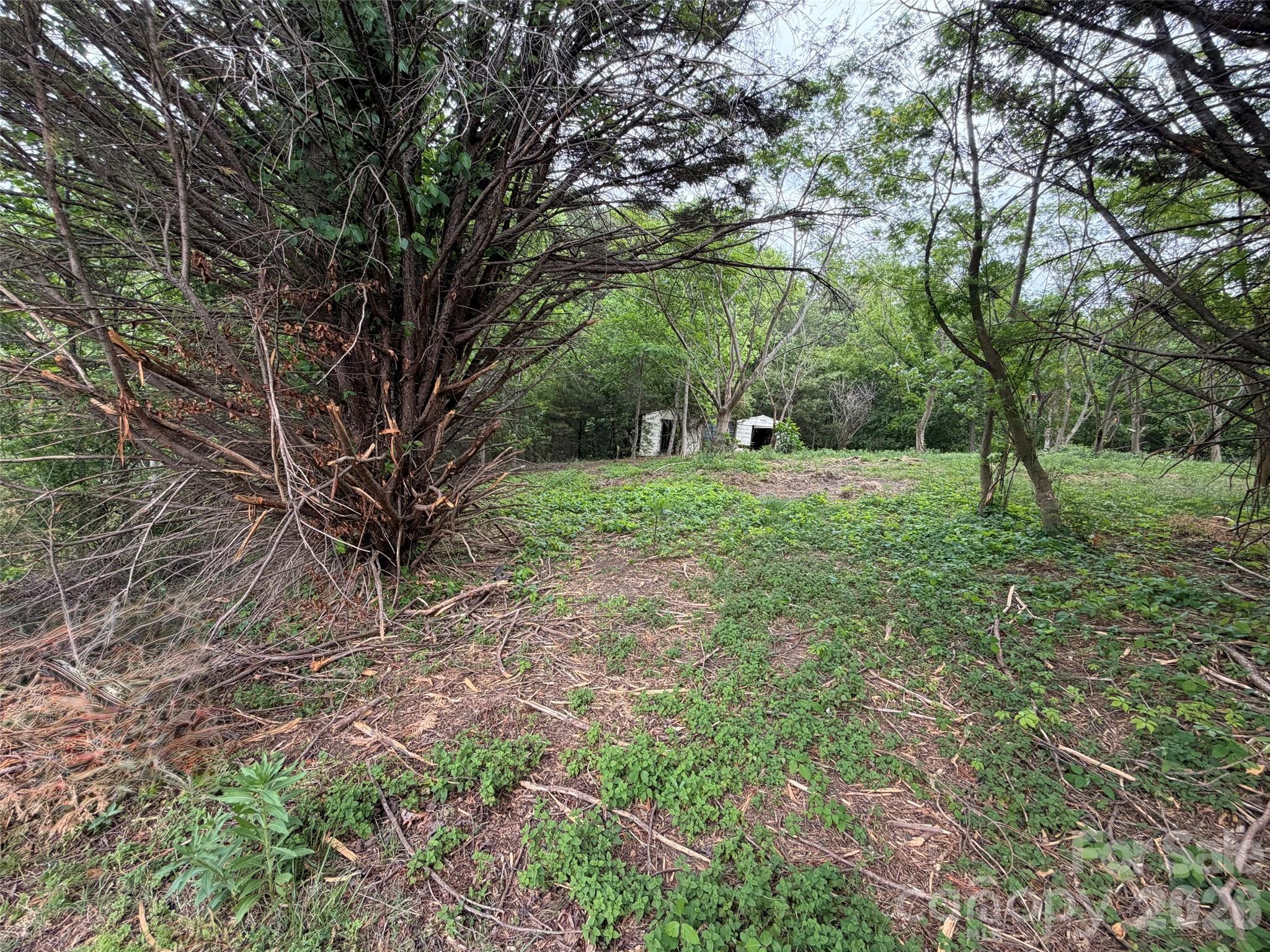 7557 Cowtail Lane Connelly Springs NC 28612