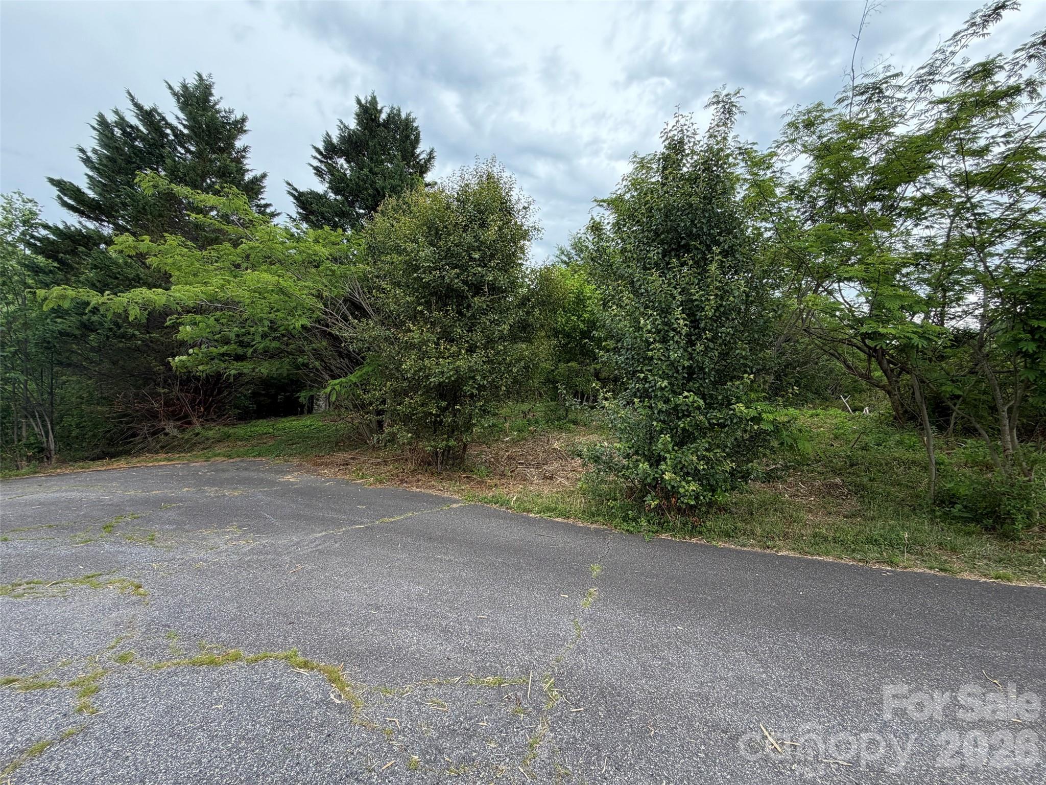 7557 Cowtail Lane Connelly Springs NC 28612