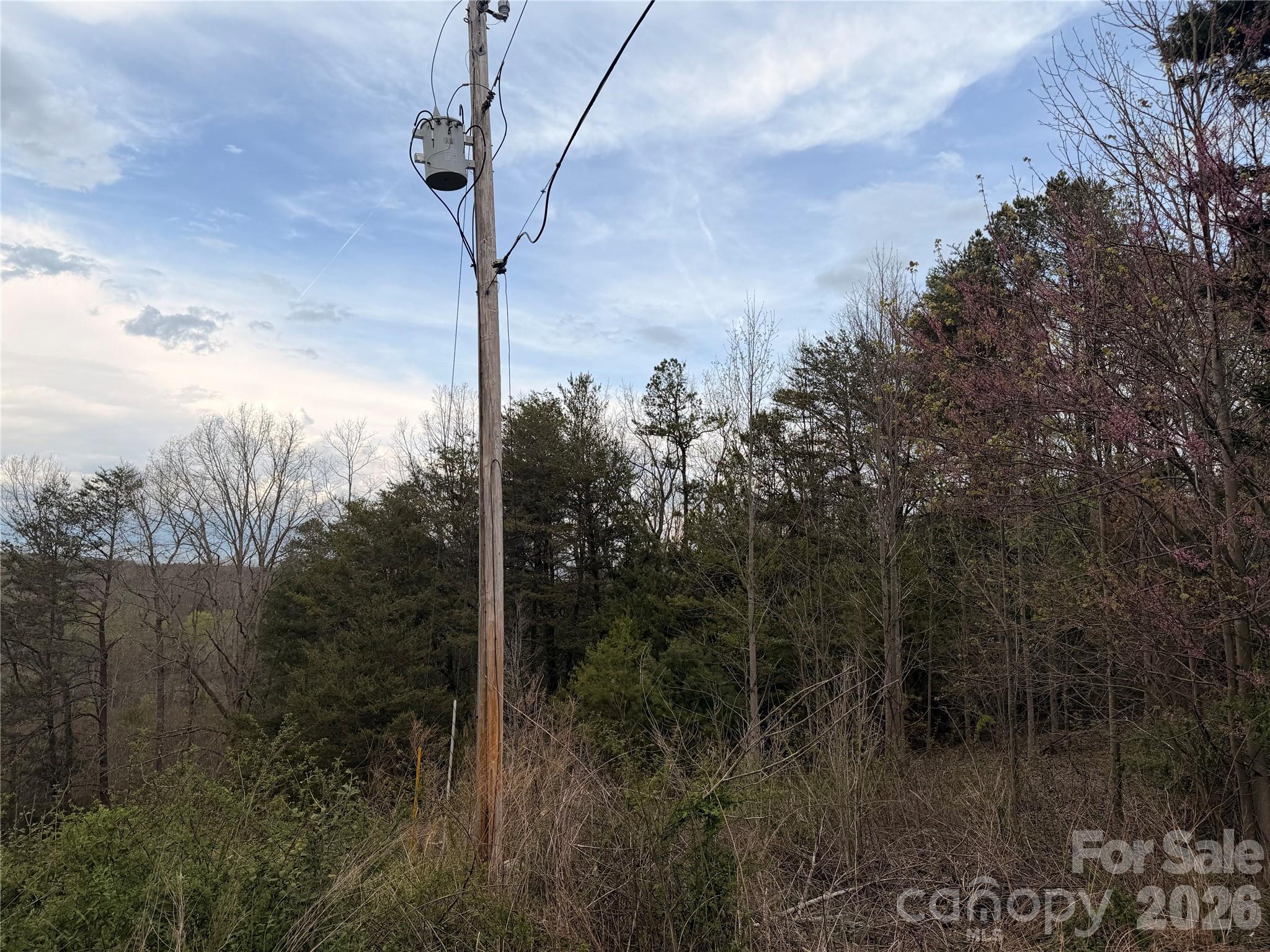 7557 Cowtail Lane Connelly Springs NC 28612